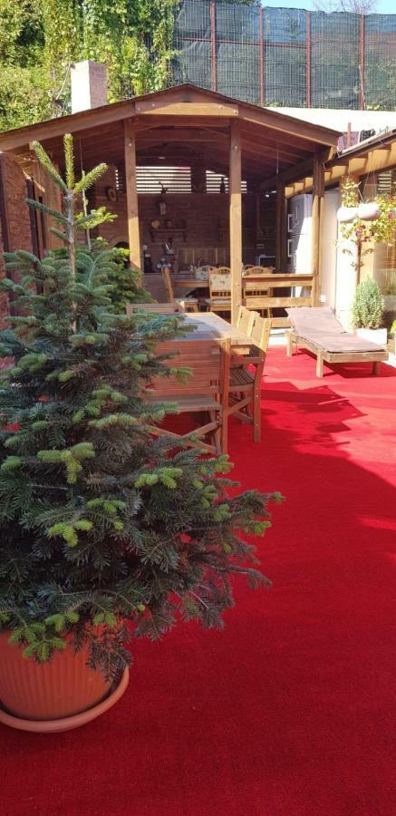 Hotel Casa Piri Anina Zewnętrze zdjęcie